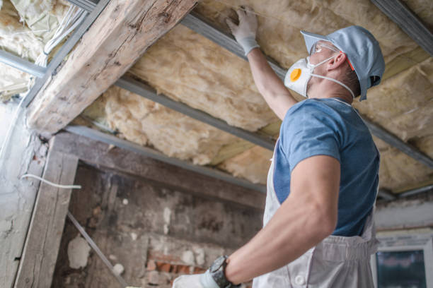 Best Residential Insulation Services  in Chickasaw, AL